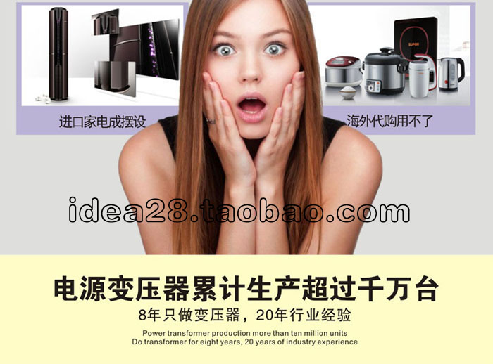 志恒1000w220v转110v变压器